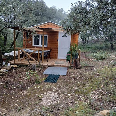 Chez Eve 2 Leilighet Nîmes Eksteriør bilde